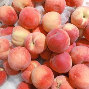 手机看福利大片
