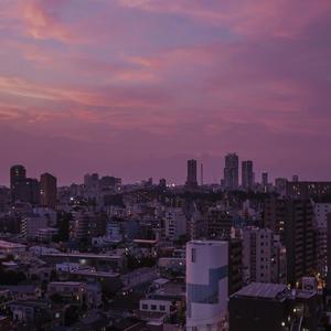 手机看福利大片
